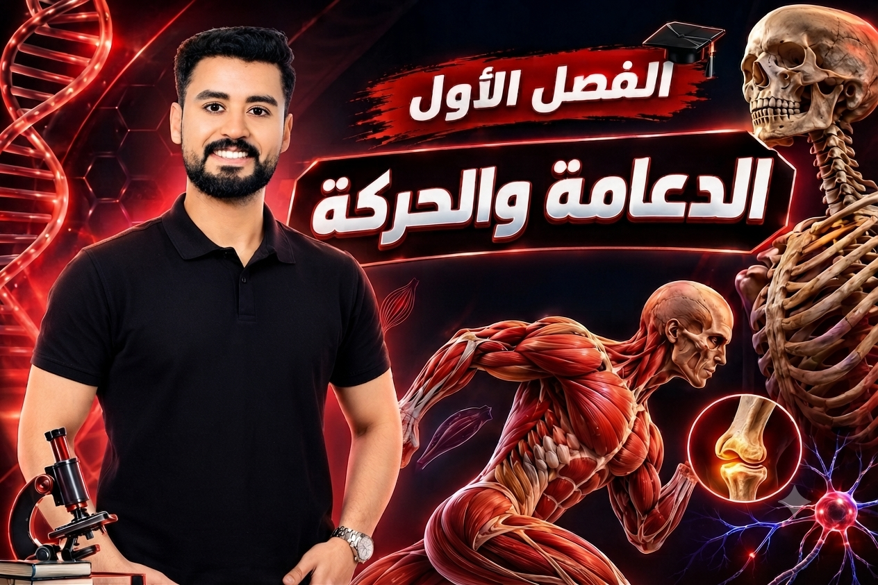 الفصل الأول ( دعامة + حركه )